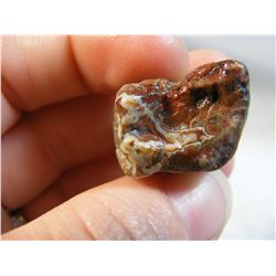 Fairburn Agate from South Dakota