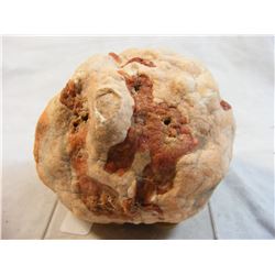 Old Find Bubble Gum Agate from South Dakota #4223