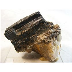 Large Black Hills South Dakota Black Tourmaline Display #4224