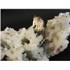 Image 5 : Huebnerite/Quartz Cluster Mundo Nuero Mine Peru