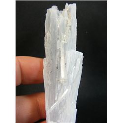 Anhydrite Crystals from Mexico