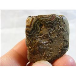 Fairburn Agate from South Dakota