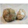 Image 1 : Lot of 2 Indian Rattle Rocks- Chalcedony Geodes