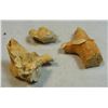 Image 2 : Lot of 3 Pieces of Fossilized Coral