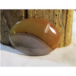 Polished Agate Cab 1.63" x 1.17"