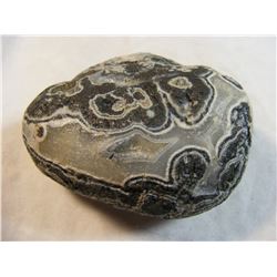 Stunning Black and White Fairburn Agate 3"