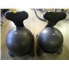 Image 1 : 2 EXERCISE BALL SEATS