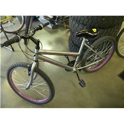 MOUNTAIN BIKE