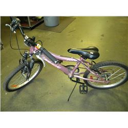 CHILDS RALEIGH MOUNTAIN BIKE