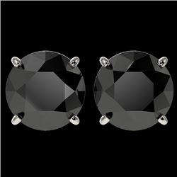 4.19 CTW Fancy Black VS Diamond Solitaire Stud Earrings 10K White Gold - REF-100R2K - 36711