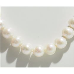 FRESHWATER PEARL NECKLACE W/ ST SILVER  CLASP