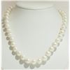 Image 2 : FRESHWATER PEARL NECKLACE W/ ST SILVER  CLASP