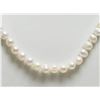 Image 1 : STERLING FRESHWATER PEARL NECKLACE