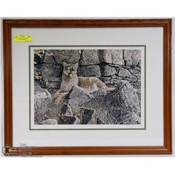 22X26 FRAMED PAUL RANKIN #ED/SIGNED COUGAR PIC