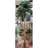 Image 1 : 10' SILK PALM TREE