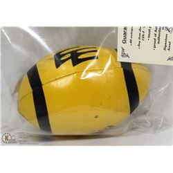 SEAN FLEMMING AUTOGRAPH MINI FOOTBALL