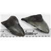 Image 1 : 2 LARGE FOSSIL MEGALODON SHARK TEETH