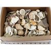 Image 1 : LOT OF HUNDREDS OF SEASHELLS PENDANTS