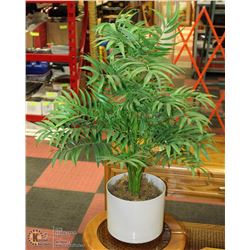 3FT SILK TREE IN POT