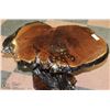 Image 2 : BURL WOOD END TABLE WITH SEASHELL INLAY