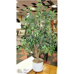 4' SILK TREE W/ POT
