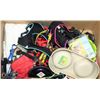 Image 1 : LARGE BOX OF PET ACCESSORIES INCL HARNESSES,
