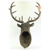 Image 4 : Elk Head Bust Bronze Stag Statue
