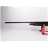 Image 8 : Winchester Pump Gun