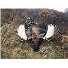 Image 2 : Canada: Yukon Big Game Outfitters – Yukon Territory