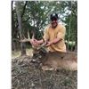 Image 2 : Texas: Cotton Mesa Trophy Whitetail Ranch - Corsicana