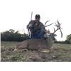 Image 3 : Texas: Cotton Mesa Trophy Whitetail Ranch - Corsicana