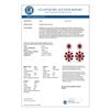 Image 3 : 33.88 CTW Royalty Designer Ruby & VS Diamond Earrings 18K White Gold - REF-472M8F - 39156