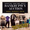 Image 1 : VIEWING FOR THE TIMED INTERNET SALE IS BY