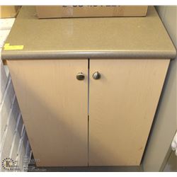 2 DOOR CABINET WITH COUNTERTOP