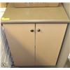 Image 1 : 2 DOOR CABINET WITH COUNTERTOP