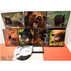 BOX OF BEAR PICTURES