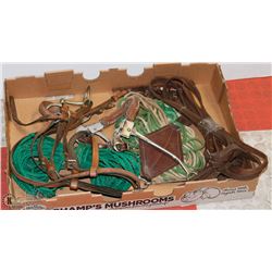 LOT OF VARIOUS HORSE RIDING SUPPLIES