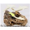 Image 1 : DOLPHIN ORNAMENT ON WOOD