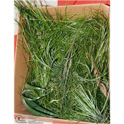 BOX OF GRASSES
