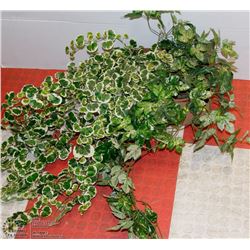 PAIR OF CASCADING SILK PLANTS IN CLAY POTS