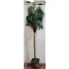 Image 1 : 8' PALM TREE WITH WICKER BASKET