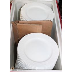 RED COOLER W/ SIDE PLATES