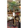 Image 1 : 8' PALM TREE WITH WICKER BASKET