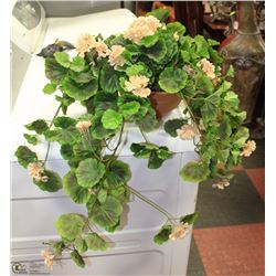 CASCADING FLOWERING SILK PLANT