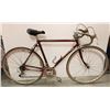 Image 1 : NISKIKI RACING BIKE