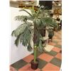 Image 1 : 6' PALM TREE WITH WICKER BASKET