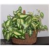 Image 1 : BASKET WITH LARGE SILK PLANT