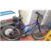 Image 1 : TRIUMPH LASER 15 SPEED BIKE