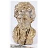 Image 1 : BEETHOVEN BUST 13"
