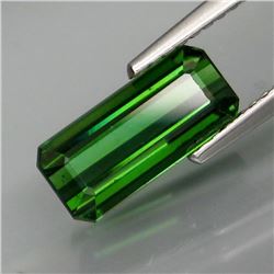 Natural Top Green Tourmaline 2.17 Cts